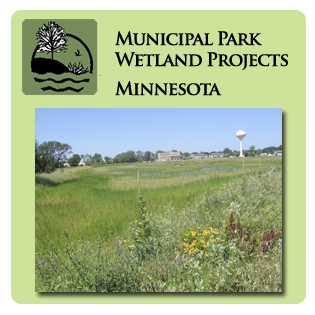Municipal Park Wetland Services Municipal Park Wetland Services